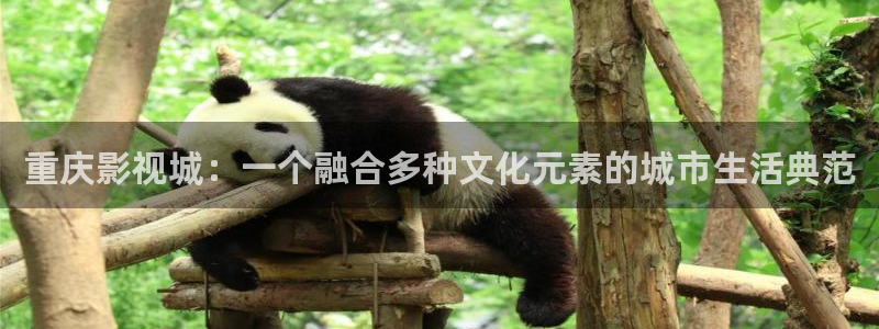 超碰免费：重庆影视城：一个融合多种文化元素的城市生活典范