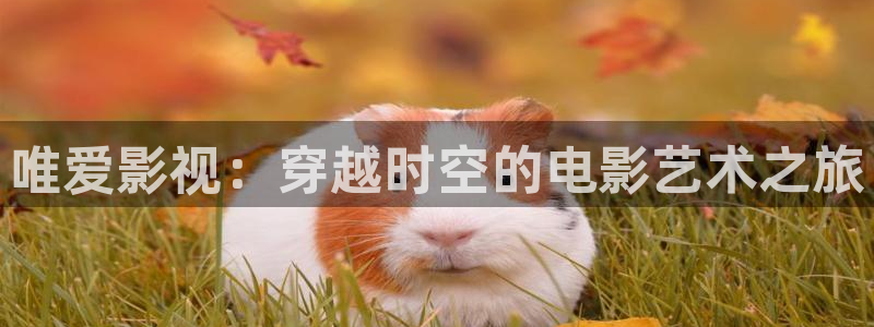超碰在线视频中文字幕：唯爱影视：穿越时空的电影艺术之旅